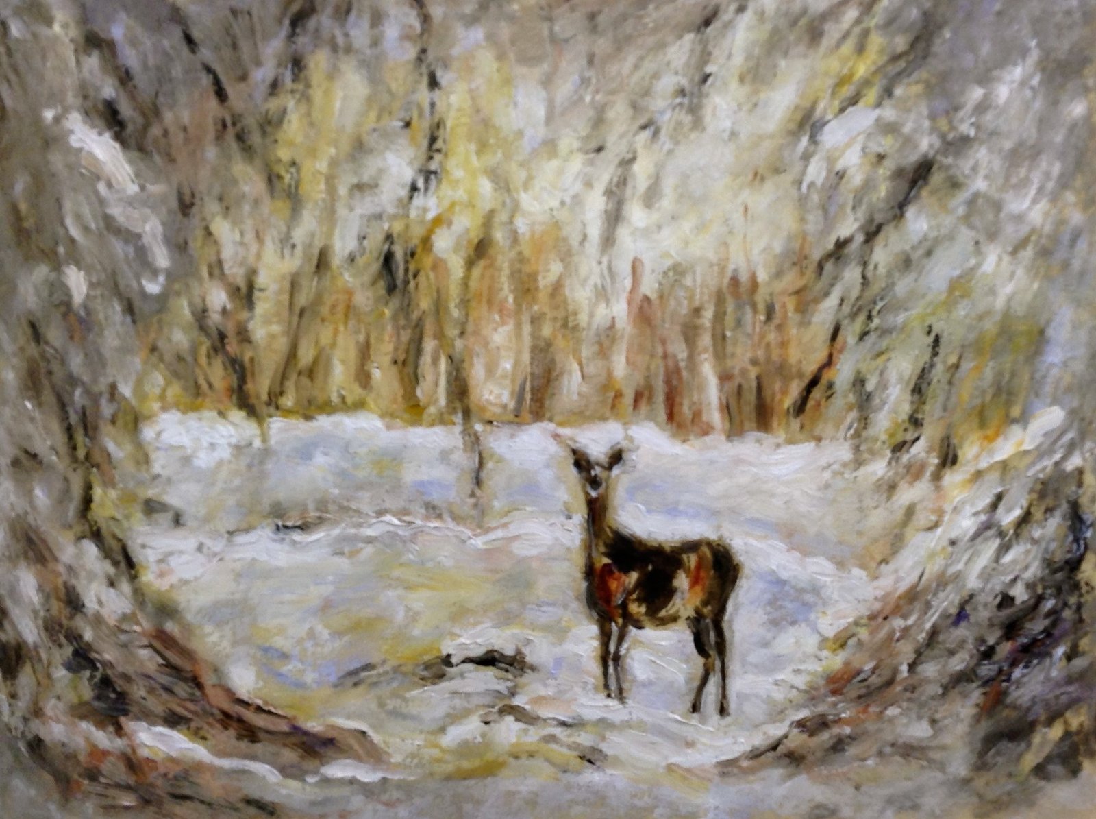 Edelhert in de sneeuw