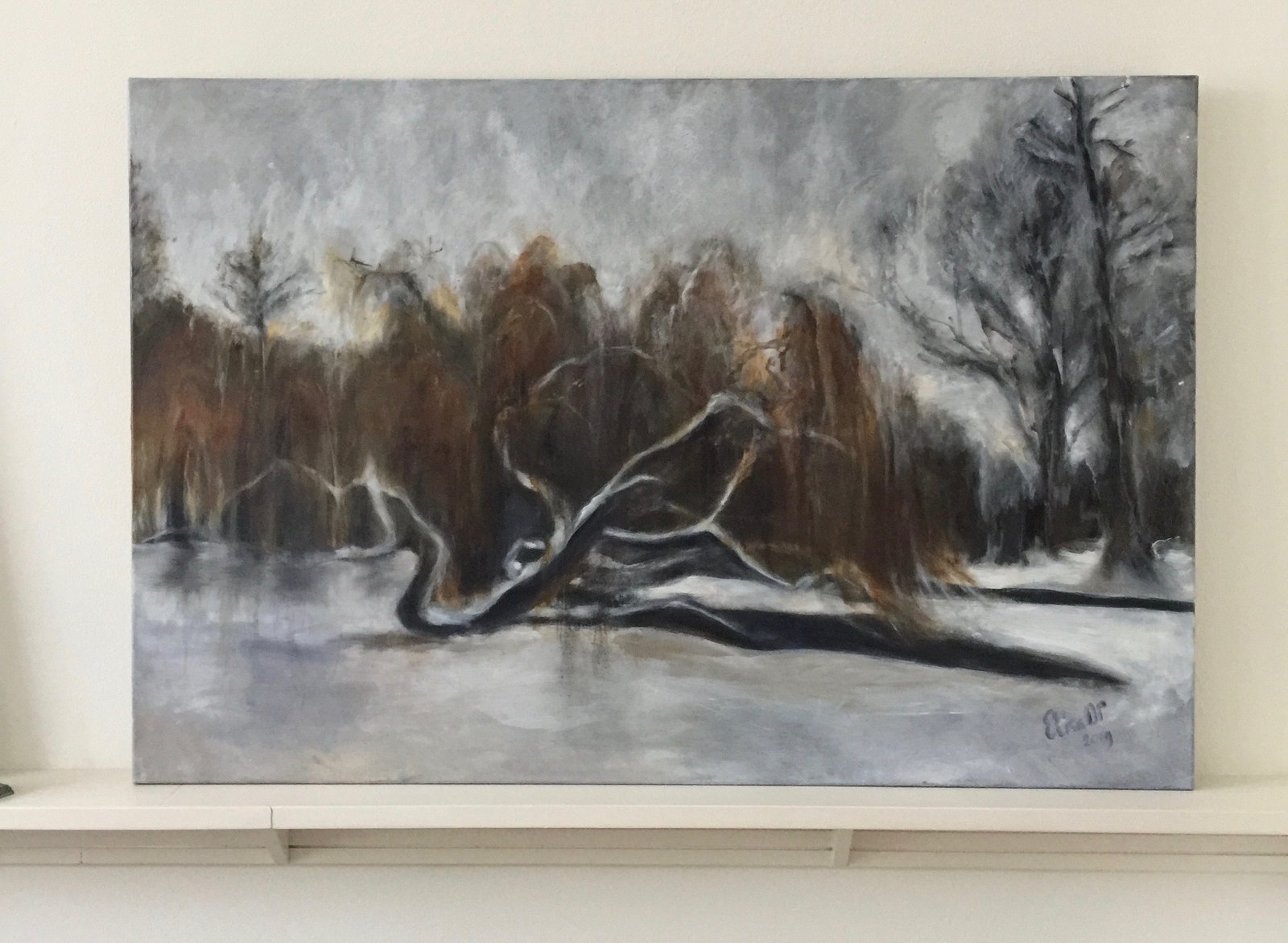 Winter in het Vondelpark